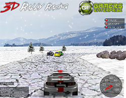 3D Rally Racing 2 3D Rally Racing 2